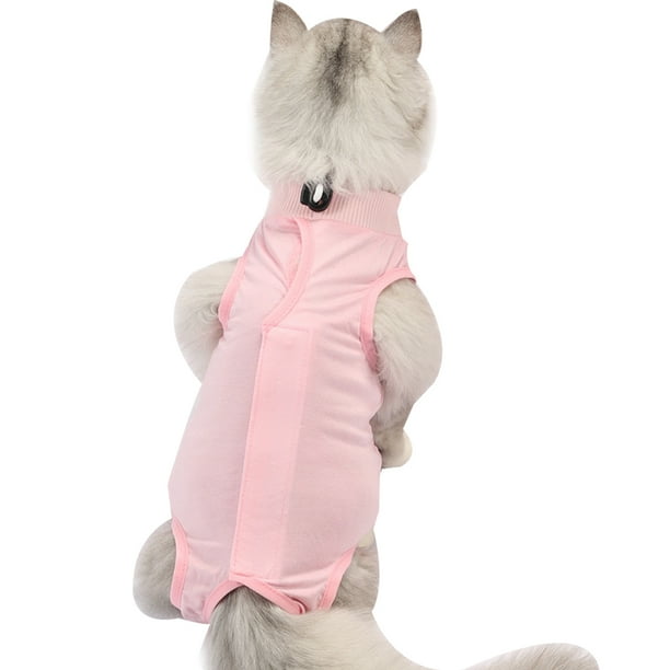 Cat Surgical Recovery Suit Abdominal Wounds or Skin Diseases, After