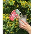 thumbnail image 4 of Nixie Sparkling Water, Green Tea Pomegranate Organic, 12 Ounces - Pack Of 1, 4 of 7