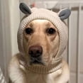 thumbnail image 5 of Apmemiss Clearance Dog Ear Muffs Noise Protection Winter Neck and Ear Warmer Hood for Pets Cat Dogs Stress Anxiety Relief Hood Warm Dog Knitted Hat Holiday Outdoor Walking Essential Clothing Matching, 5 of 7