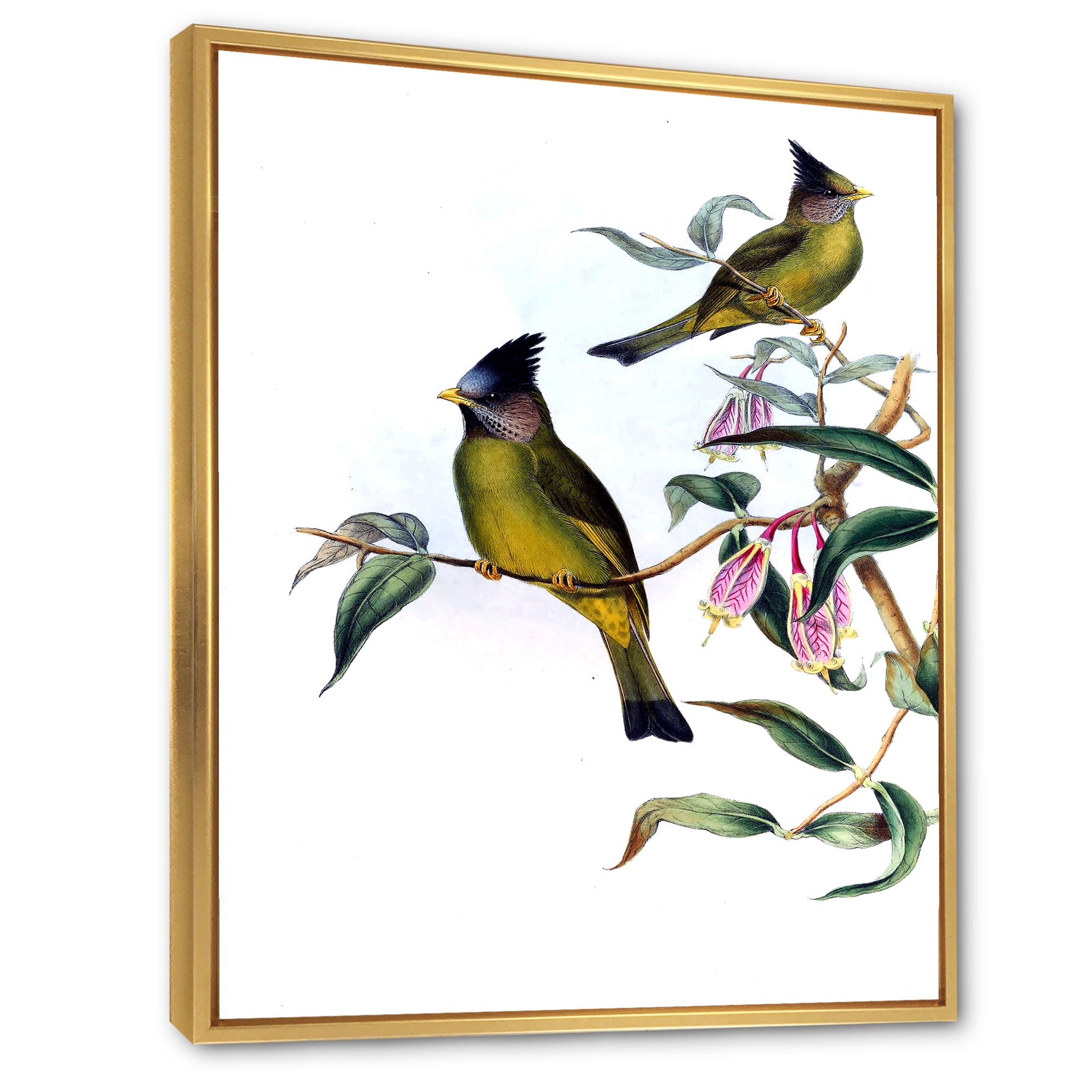 Designart 'Vintage Countryside Birds On Branch II' Farmhouse Framed Canvas Wall Art Print