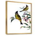 thumbnail image 3 of Designart 'Vintage Countryside Birds On Branch II' Farmhouse Framed Canvas Wall Art Print, 3 of 5