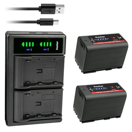 Kastar 2-Pack BP-950G Pro Battery and LTD2 USB Charger Compatible with Canon GL-2 DM-GL2  MV1  MV10 MV10i  MV20 MV20i  MV100 MV100i  MV200 MV200i  Optura  Optura Pi  Ultura  Vistura  UC-V10Camera
