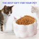 thumbnail image 5 of Cuencos para gatos, cuencos elevados de cerámica para comida para gatos, cuenco elevado inclinado antivómitos, protege la columna vertebral de las mascotas, 5 of 5