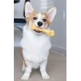 thumbnail image 5 of Petmate 36060 9.5 x 2 x 5.75 in. Zombie Barkbone Cheddar Dog Chew, Brown - Extra Large, 5 of 6