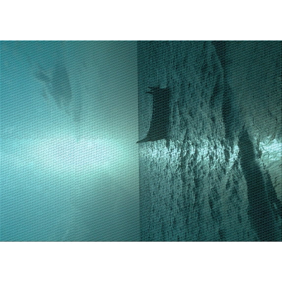 Ahgly Company Indoor Rectangle Patterned Medium Teal Green Area Rugs, 5' x 8'