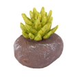 thumbnail image 2 of Planta de resina,Planta en miniatura,Artesanía de jardín de hadas,Micro paisaje manualidades de bricolaje,Favores de casa de muñecas en miniatura Macarena Planta de resina, 2 of 7