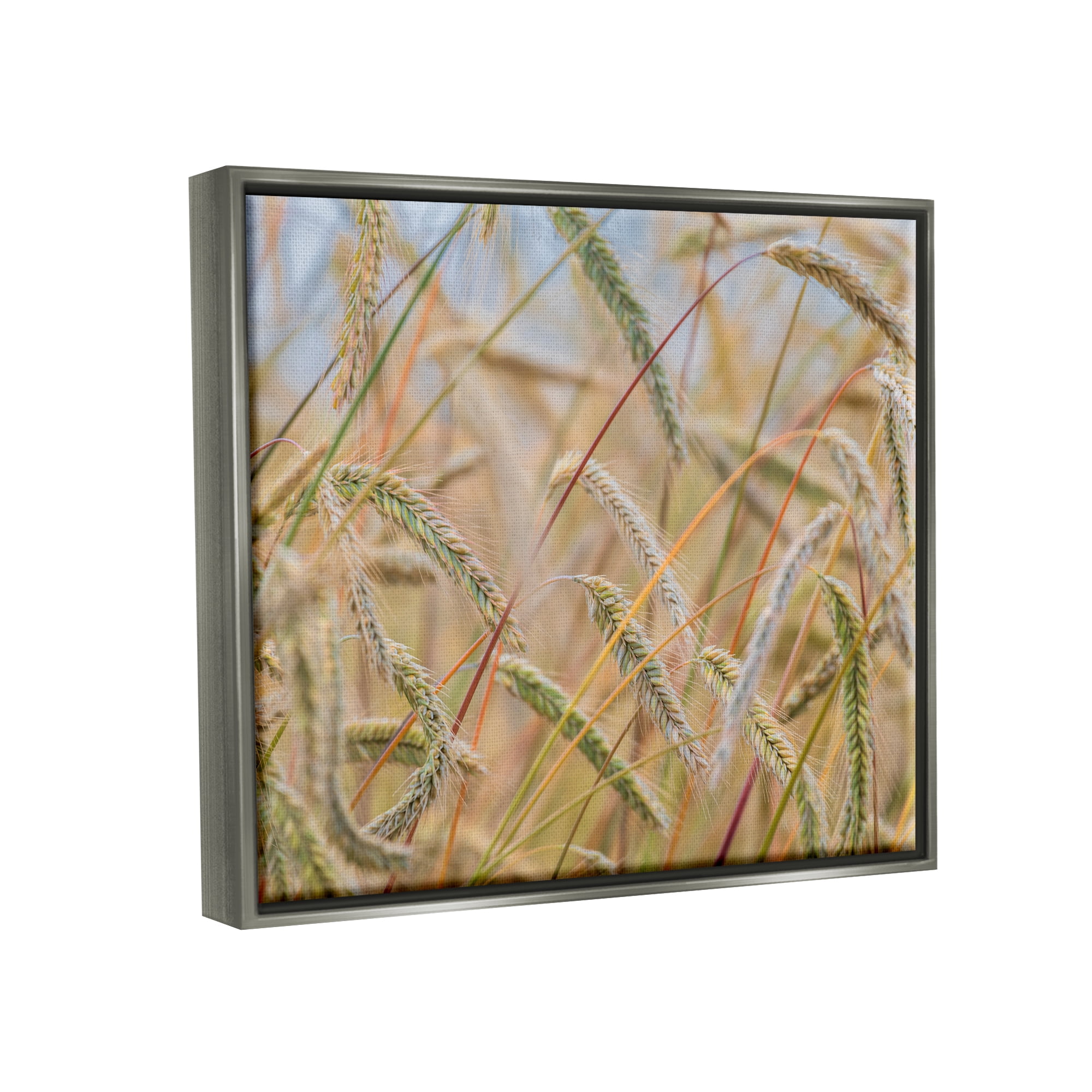 Stupell Industries Country Wheat Photography Nature Photography Gray Floater Framed Art Print Wall Art, 21 x 17