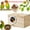 Khaki, variant on Parakeet Nest Box Bird House Budgie Wood Breeding Box for Lovebirds, Parrotlets Mating Box (7.7 * 4.7 * 4.7 inch)