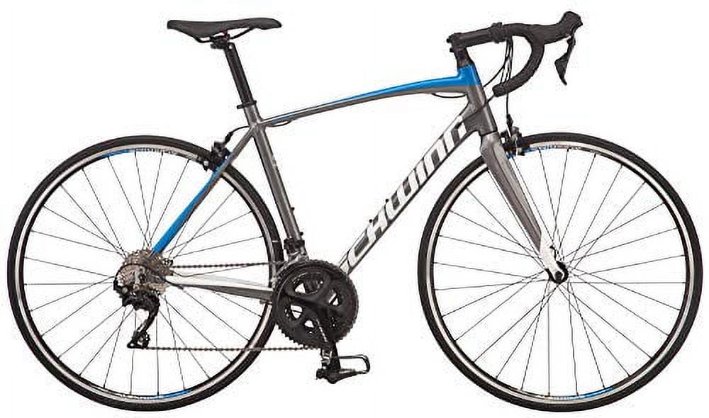 Schwinn - Brandclub - Schwinn Fastback Carbon Road Bike, Fastback