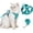 Blue, variant on Cat Harness and Leash Set with Holder Compatible with AirTag, Upgraded Escape Proof Adjustable Vest Lead for Large Cat Small Dog Walking, Soft Breathable Mesh Jacket with Reflective Strips