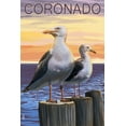 thumbnail image 1 of Coronado, California, Seagull (24x36 Giclee Gallery Art Print, Vivid Textured Wall Decor), 1 of 3