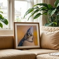 thumbnail image 3 of Blue Jay portrait - Photography Bird Wildlife Nature Animal Autumn Unframed Wall Art Print 6 x 6 inches, 3 of 9