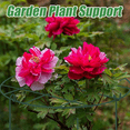 thumbnail image 4 of 6X Peony Stand, Peony Support Cage, Plant Stand Growing Plant Stand Suitable for Roses, , Orchids,6 x climbing frame,Green, 4 of 7
