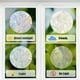 thumbnail image 4 of Adhesivos para ventanas con hojas de 15 x 18 cm, adhesivos estáticos de arcoíris, anticolisión, atrapasoles, vinilo prismático no adhesivo., 4 of 9
