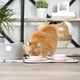thumbnail image 4 of Pet Bowl Bone Dry Ceramic Chevron Pink, juego pequeño de 180 ml, 2 unidades, 4 of 8