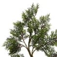 thumbnail image 1 of Vickerman Cèdre en Pot 6' - TB180172, 1 of 2