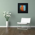 thumbnail image 3 of Trademark Fine Art "Orange Swatch" Canvas Art by Nicole Dietz Black Matte, Black Frame, 3 of 4