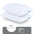 Sertapedic Egyptian Down Alternative Pillows, Set of 2