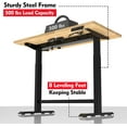 WORKPRO Electric Standing Desk, Heavy Duty 48"x24" Desk, Height