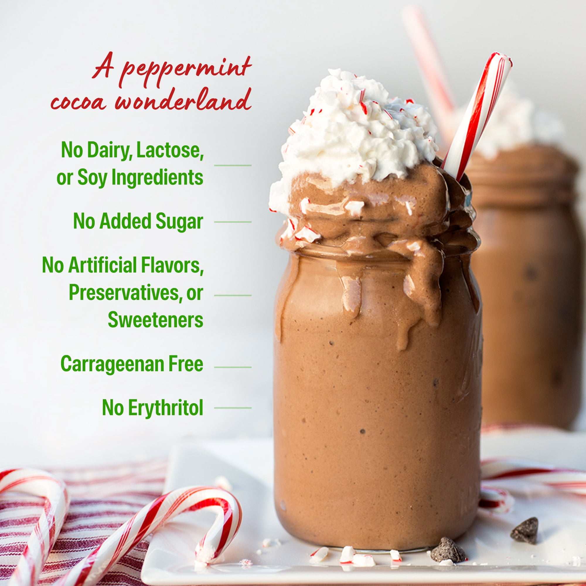 Orgain Organic Vegan 21g Protein Powder, Plant Based Shake Drink, Peppermint Hot Cocoa 1.02lb