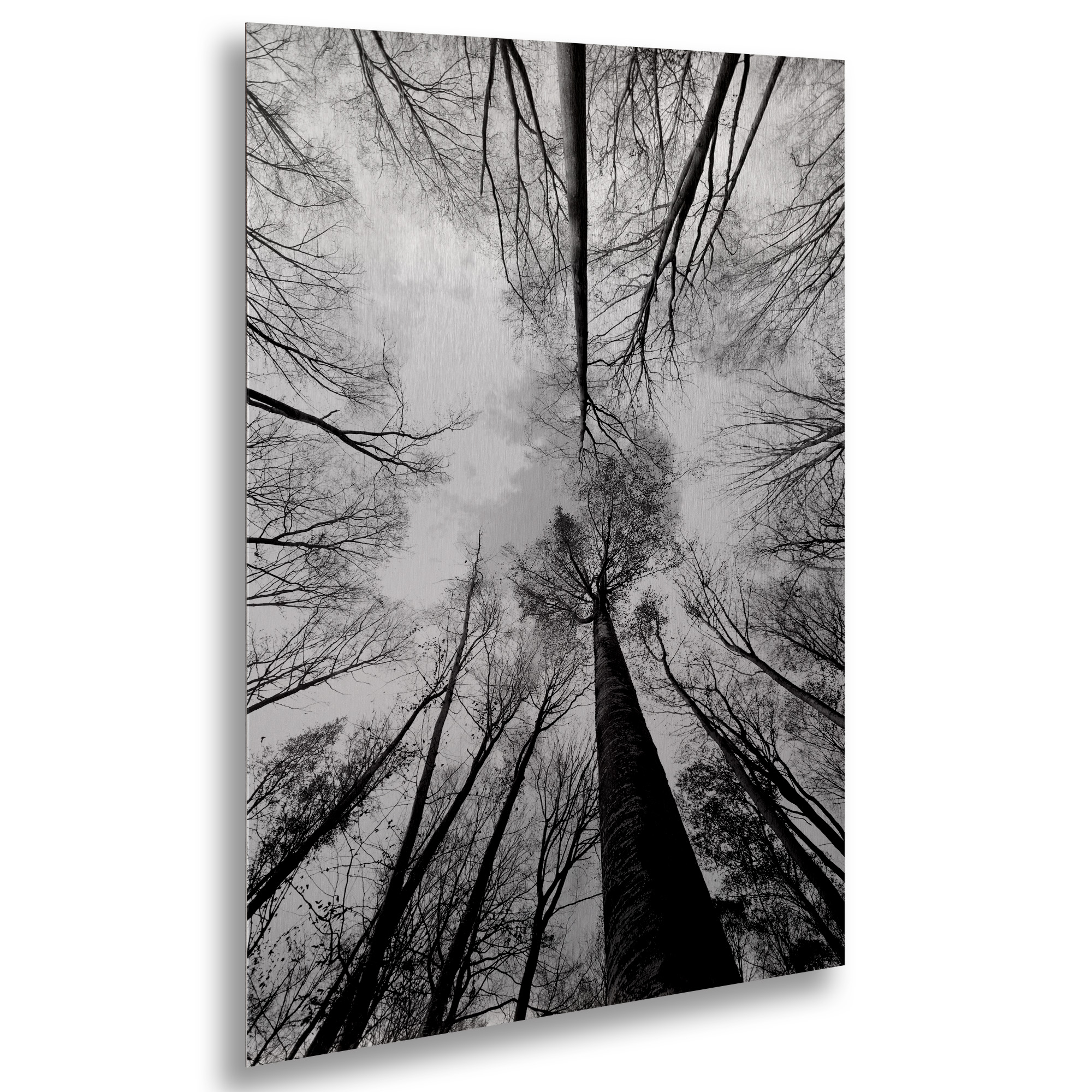 Trademark Fine Art 'Recall the Days' Brushed Aluminum Wall Art Art by Philippe Sainte-Laudy