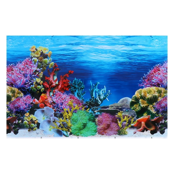 Background Aquarium Fish Tank Wallpaper Gallon Backdrop Picture Double Diy  Underwater Sided 10Landscape 20 Poster Decor 