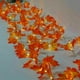 thumbnail image 2 of Led Arce Hojas Otoño Guirnalda Cadena Luz Decoración Halloween Navidad Decoración - 2M 20LEDS Kuyhfg Sin marca, 2 of 5