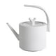 thumbnail image 2 of Hervidor de agua Strade Fareast Limited acero inoxidable para té y café, 2 of 8