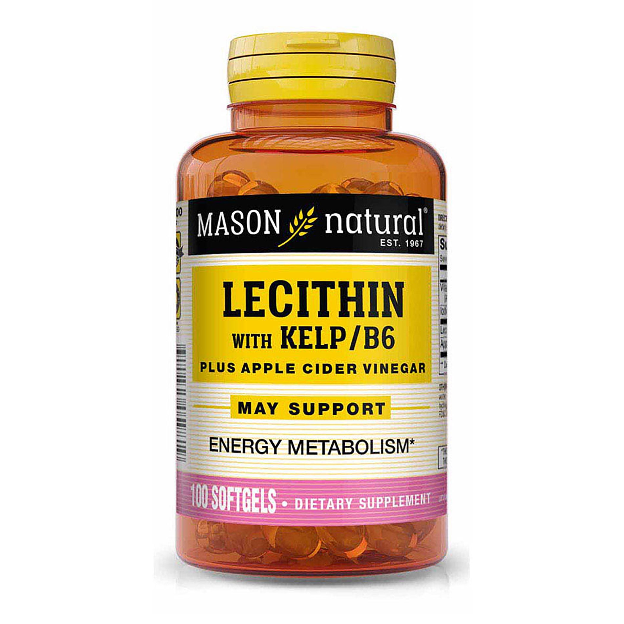 Mason Natural Lecithin with Kelp/Vitamin B6 plus Apple Cider Vinegar