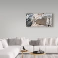 thumbnail image 3 of Trademark Fine Art 'Love Rocks' Canvas Art by Brenda Petrella Photography Llc, 3 of 3