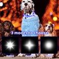 thumbnail image 4 of Collares para perros Collar LED para mascotas Collar para perros superbrillante intermitente con 3 modos de iluminación USB recargable e impermeable para perros pequeños, medianos y grandes Muyoka Hogar, 4 of 6