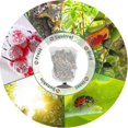 thumbnail image 4 of 4pcs Insect Netting Bag, Bird Netting For Garden Protection, Garden Netting Pest Barrier With Drawstring Bushes Protection Netting Cover, 4 of 5