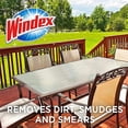 thumbnail image 3 of Windex Outdoor Refill Pads 2 Count (2 Count (Pack of 1)), 3 of 4