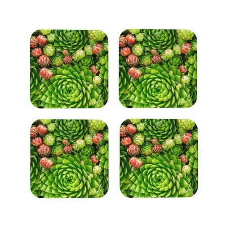 

Leather Coasters Set of 4 - Cactus And Succulents Lightweight Non-Slip Drink Coasters for Desk Anti-Scalding Desk Cup Coasters for Office Table Decor Square