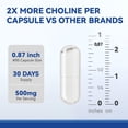 thumbnail image 4 of Prenatal Choline Supplements, Liquid Capsules for Focus, Memory, and Energy, 500mg Pure VitaCholine®, Supports Baby’s Cognitive Development in Pregnancy, 30 Day Supply, Made in the USA, 4 of 9