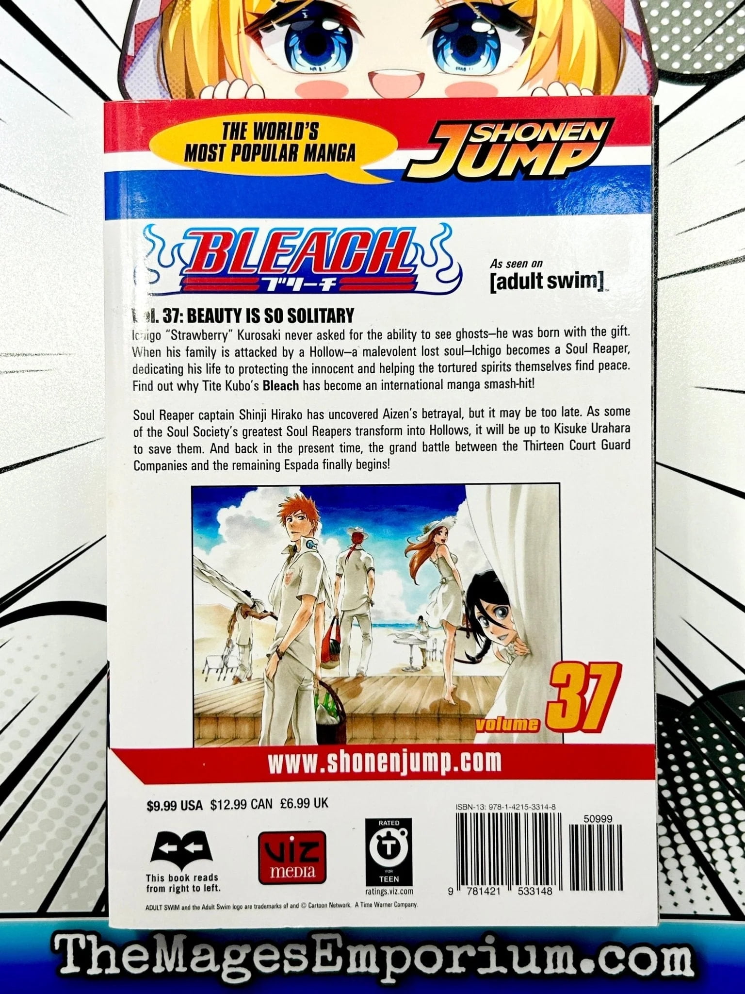 Bleach Bleach, Vol. 37: Beauty Is So Solitary, Book 37, (Paperback