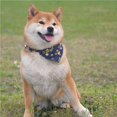 thumbnail image 5 of Methold Pet Bandana Pet Bufanda para perros o gatos Estilo japonés Sakura ajustable para animales de diferentes tamaños Suministros para perros Numero 3 Methold PT001701-03, 5 of 5