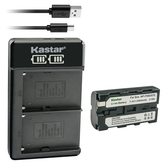 Kastar 1-Pack Battery and LKD2 USB Charger Compatible with Sony HXR-NX100 HXR-NX3 HXR-NX5 HXR-NX5R MPK-DVF4 MVC-CD1000 MVC-CD400 MVC-CHF81 MVC-CKF81 MVC-FD100 MVC-FD200 MVC-FD5 MVC-FD51 MVC-FD7