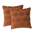 thumbnail image 3 of 2 fundas de almohada de calabaza para otoño, con cremallera, cuadradas, para decoración del hogar Caramelo, 3 of 9