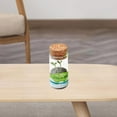 thumbnail image 4 of Glass Vase DIY Planting s Bonsai Green, 4 of 8