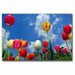 Trademark Art "Heaven" Canvas Art by CATeyes