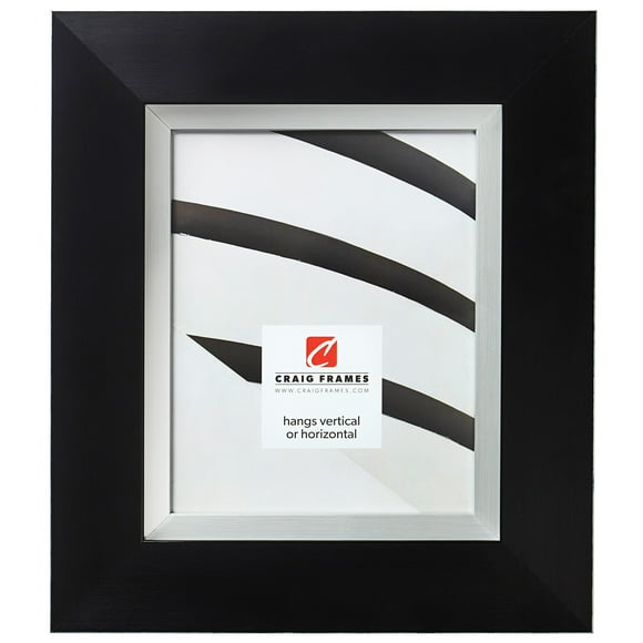 Craig Frames Ambassador Picture Frame, 10 x 13 Inch, Black and Silver
