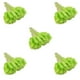 thumbnail image 2 of Naiovety 60 unids/set Flor seca decoración Verde, 2 of 6