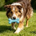 thumbnail image 6 of Stress-Free Brushing Dog Mouth Prop Chew Toy, Dual-Action Teeth Cleaning Performance, Daily Household Dog Oral Supply, 6 of 9