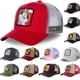 thumbnail image 2 of Conejo de dibujos animados, pato, gorra de béisbol, sombrero de conductor de camión, sombrero para el sol, tarjeta R uno, 2 of 2