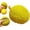 Durian Squishy, variant on Shy Toy Watermelon Squishy Stress Relief Toy – Slow-Rising Pinch Music Soft Fruit Fidget, Scented Desk Toy, 10 Dollar White Elephant Gifts, White Elephant Gifts for Adults Under 10