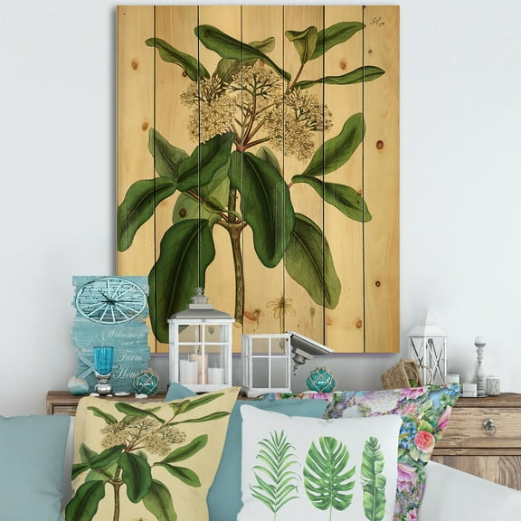 Designart 'Ancient Plant Life I' Traditional Print on Natural Pine Wood