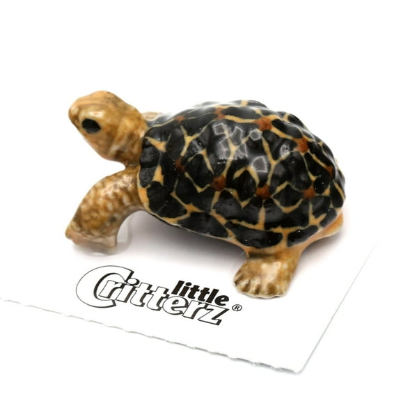 Little Critterz Tortoise Star Scrub Forests Reptile - Hand-painted Home Decor Reptile Decorative Figurine - Miniature Porcelain Figurine