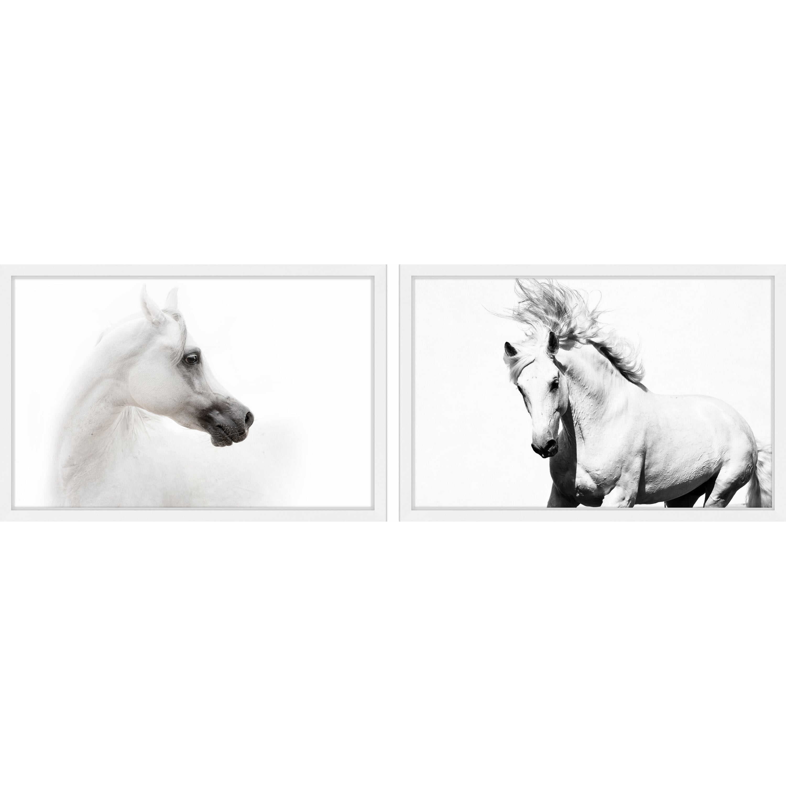White Beauties Diptych