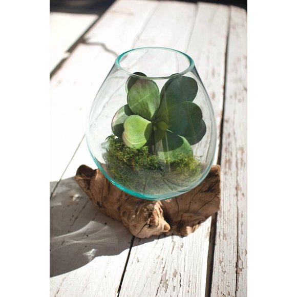 Cuenco de cristal sobre base de madera flotante de KALALOU, 25 x 23 x 28 cm